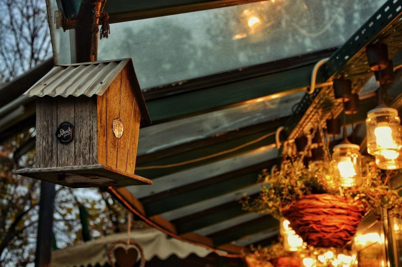 photo_5902000422028165393_y